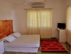Raasleela - Image 2