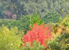 Bright Highland Valley Cottages - Image 5