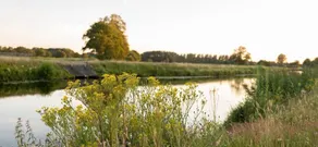 Restinn Coevorden - Image 4