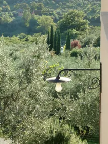 Il Palagetto - Image 5
