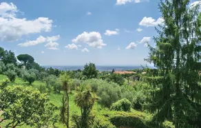 Villa Castelli Romani - Image 3