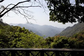 Tung Lodge - Miaoli Branch - Image 3