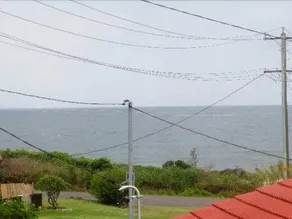 OceanView - Image 4