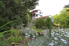 Villa Barbara - Image 2