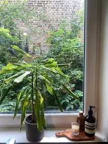 Rustic 2 Bedroom Flat in Brixton - Image 4