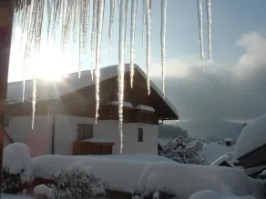 Arber, Zum Ferienhotel - Image 2
