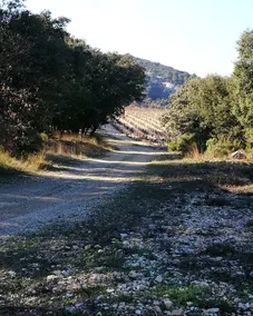 Villa Les Beaumes Luberon - Image 3