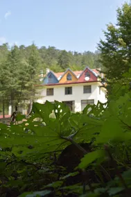 Mengen - Yenice Orman Evi - Image 3