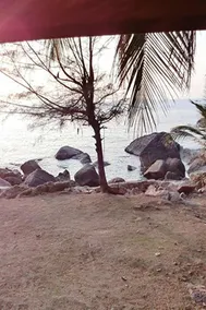 Lucky Resort - Image 5