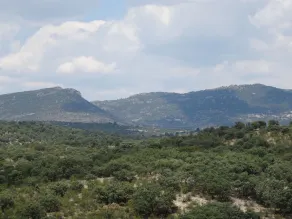 Barcoiris - Image 5