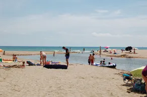 Mp-llevant - Image 4