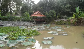 1000 Chang Valley Rayong Farm Stay - Image 2