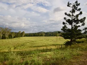 Country Breeze Farm Stay - Image 3