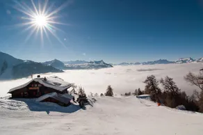 Alpine Comfort - Image 5