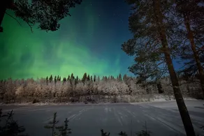 Hotel Vartiosaari The Aurora Island - Image 5