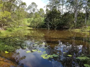 Barrington Tops Nest - Image 3