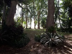 La Casa De Playa - Image 2