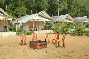Hotel Jungle Camp - Image 4