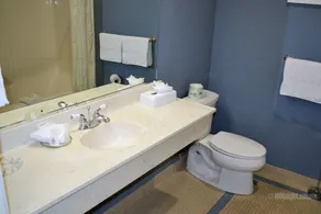 The Sebastopol Inn - Image 3