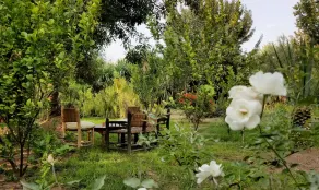All Green House - Image 2