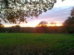 Acorns Barn - Image 3