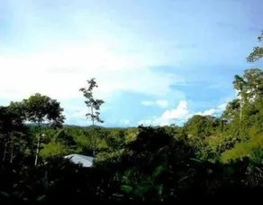Huella Verde Rainforest Lodge - Image 4
