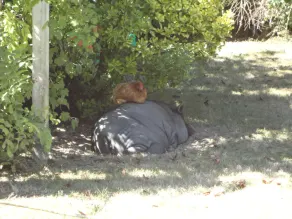 Viella Vacances - Image 3