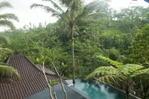 DD Ubud Villa - Image 3