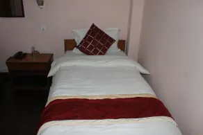 Festoon Hotel Pvt. Ltd. - Image 5