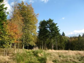 Tastefully furnished holiday residence located in the heart of the Ardennes. - Image 4