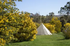 Goldfield Glamping - Image 3