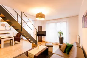 Luxury Boarding Suites - Image 4