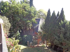 Treetops & Treats Guest House - Image 4