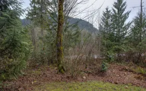 Mt Baker Lodging Cabin 20 - Sleeps 6 - Image 3