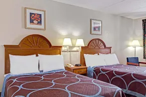 Super 8 by Wyndham Tampa U.S.F. Near Busch Gardens Downtown - Image 3
