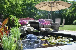 Serenity - Image 5