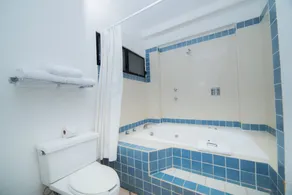 Raintrees Villa Vera Puerto Vallarta - Image 5