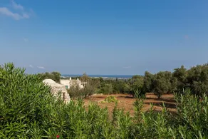 Villa Carlita - Image 5