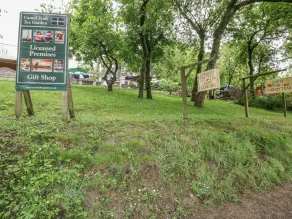 The Halt - Image 5