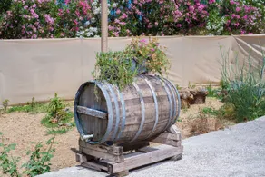 Menta Casa - Image 3