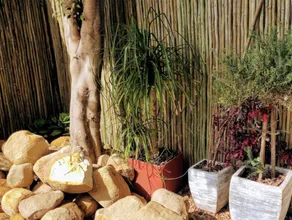 Southern Comfort Guest Lodge - Image 2
