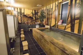 Centurion Cabin & Spa - Image 4