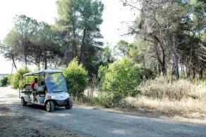 Danaide Resort - Image 2
