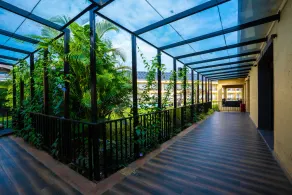 Tropical Retreat - Image 5
