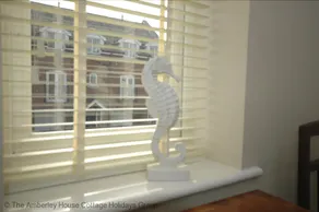 Seahorses - Image 3