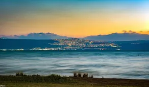 Olive In Sea of Galilee - Image 4
