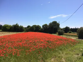 Les Aires Passagères - Image 4