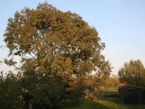 The Old School B&B - Image 2