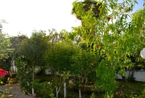 Villa Kostas - Image 5