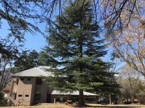 The Hostel House - Image 2